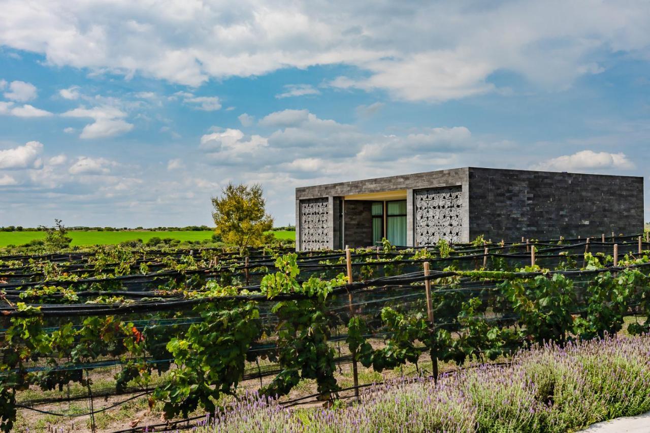 Casa Raices Hotel Luxury & Vinedo Los Galvanes Exterior photo