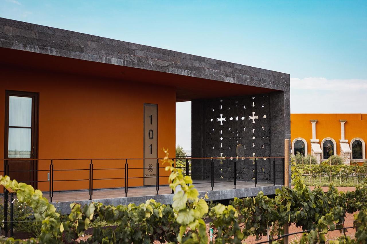 Casa Raices Hotel Luxury & Vinedo Los Galvanes Exterior photo